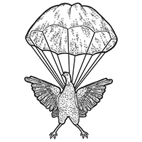 200 Turkey