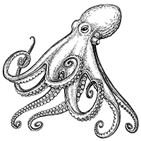 200 octopus