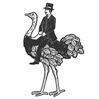 200 ostrich
